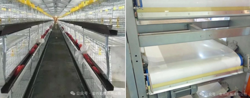pp-breeding-dedicated-conveyor-beltproduction-line-an-efficient-manure-removal-tool-for-farms.jpg pp-breeding-dedicated-conveyor-beltproduction-line-an-efficient-manure-removal-tool-for-farms.jpg
