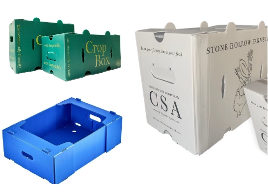 jinwei-machinerys-ultra-wide-pp-hollow-grid-plate-production-line-helps-customers-upgrade-their-products6.jpg jinwei-machinerys-ultra-wide-pp-hollow-grid-plate-production-line-helps-customers-upgrade-their-products6.jpg